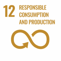 SDG_Icons_Inverted_Transparent_WEB-12 SDG_Icons_Inverted_Transparent_WEB-12